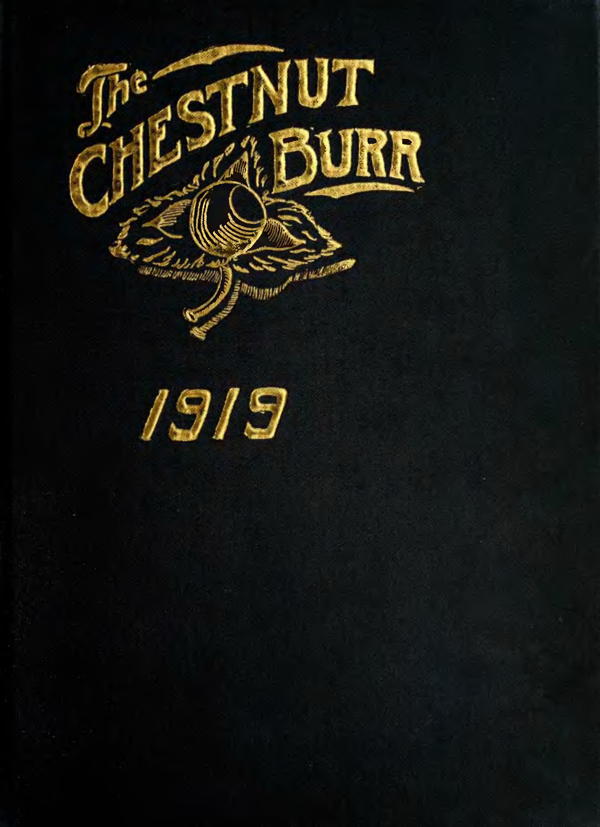 7 Brew Menu with Prices (2026 Updated)
